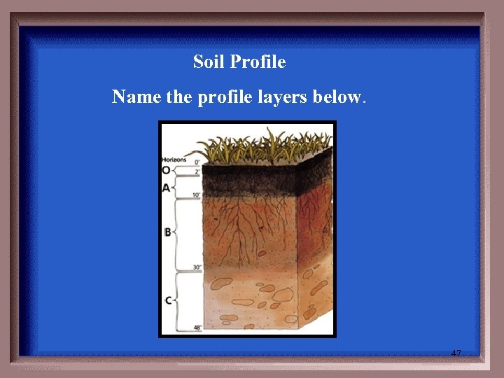 Soil Profile Name the profile layers below. 47 