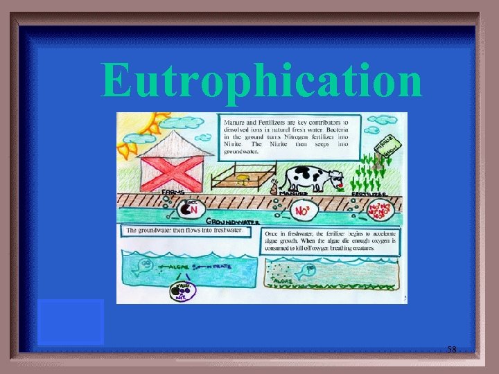 Eutrophication 58 