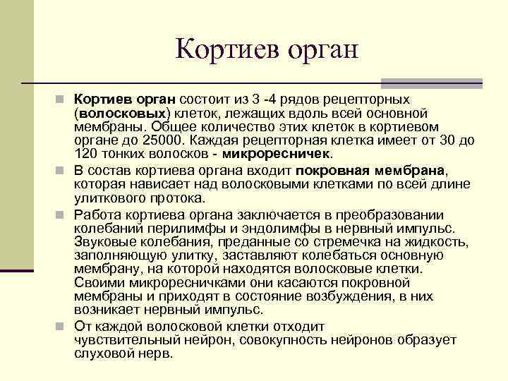 Кортиев орган n Кортиев орган состоит из 3 -4 рядов рецепторных (волосковых) клеток, лежащих