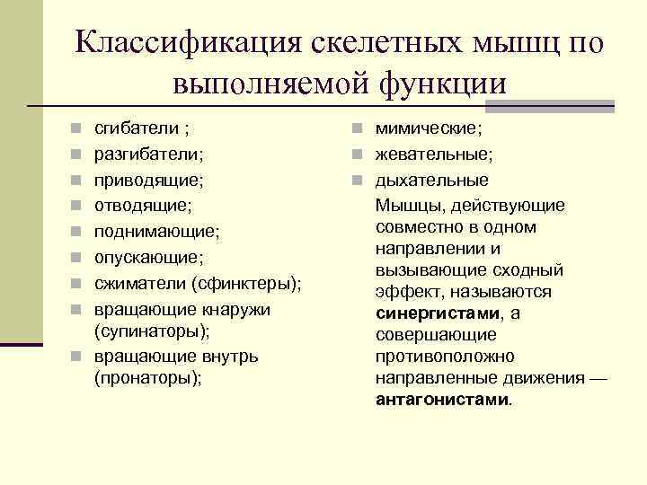 Классификация скелетных мышц по выполняемой функции n сгибатели ; n мимические; n разгибатели; n