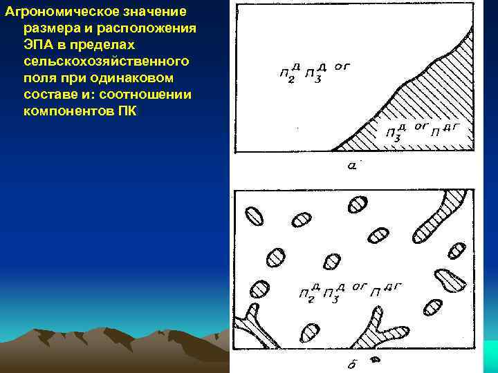 Агрономическое значение размера и расположения ЭПА в пределах сельскохозяйственного поля при одинаковом составе и: