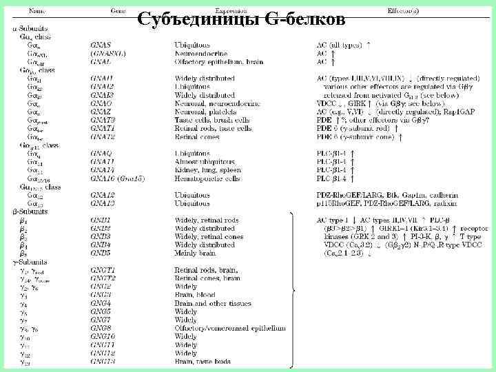 Субъединицы G-белков 