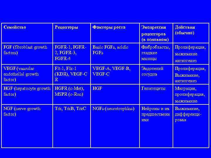 Семейство Рецепторы Факторы роста Экспрессия рецепторов (в основном) Действия (обычно) FGF (fibroblast growth factors)