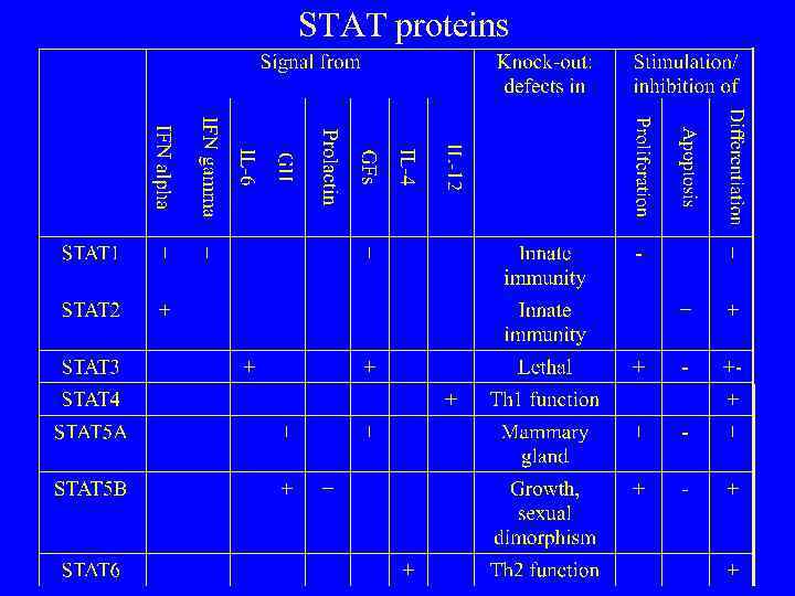 STAT proteins 