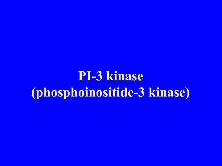 PI-3 kinase (phosphoinositide-3 kinase) 