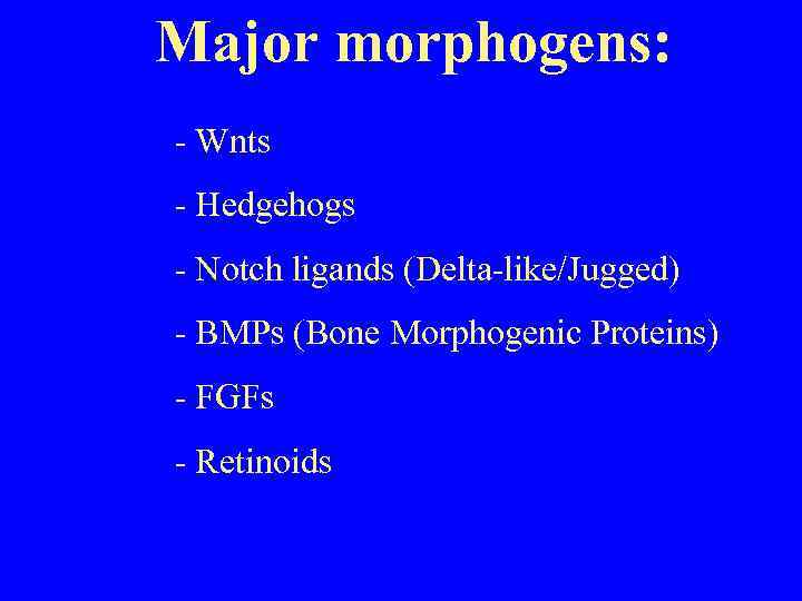 Major morphogens: - Wnts - Hedgehogs - Notch ligands (Delta-like/Jugged) - BMPs (Bone Morphogenic