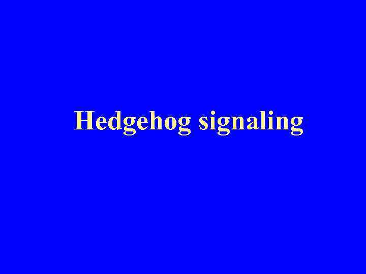 Hedgehog signaling 