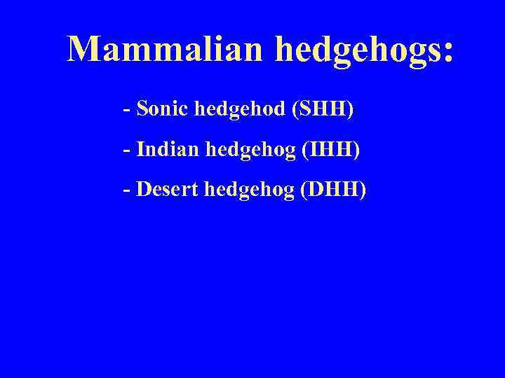 Mammalian hedgehogs: - Sonic hedgehod (SHH) - Indian hedgehog (IHH) - Desert hedgehog (DHH)