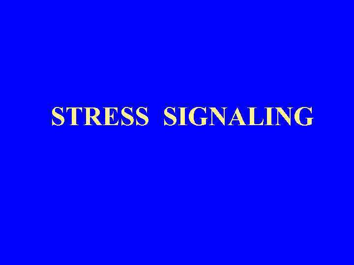 STRESS SIGNALING 
