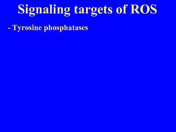 Signaling targets of ROS - Tyrosine phosphatases 