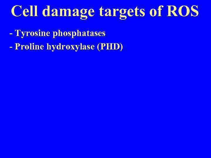 Cell damage targets of ROS - Tyrosine phosphatases - Proline hydroxylase (PHD) 