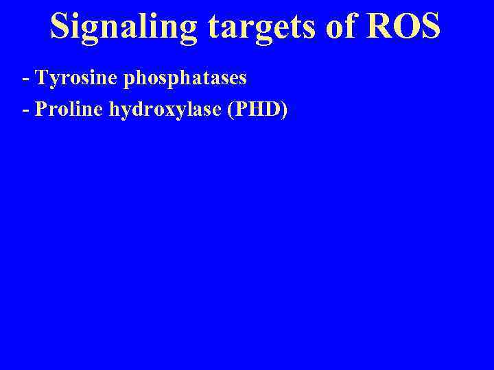 Signaling targets of ROS - Tyrosine phosphatases - Proline hydroxylase (PHD) 