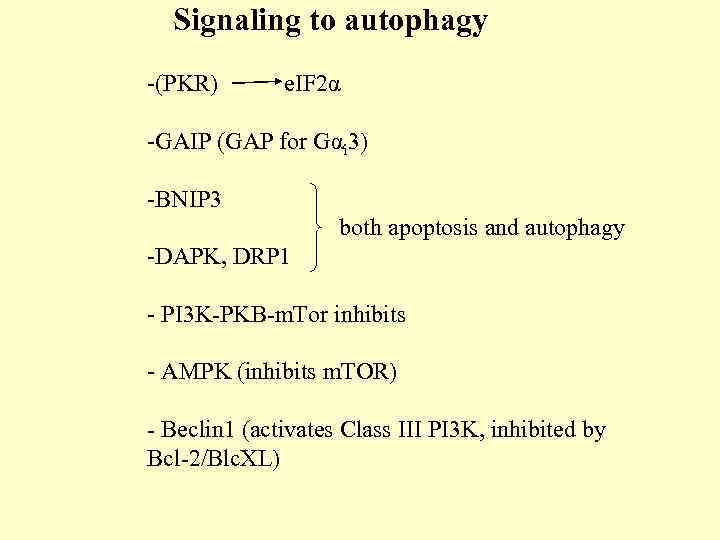 Signaling to autophagy -(PKR) e. IF 2α -GAIP (GAP for Gαi 3) -BNIP 3