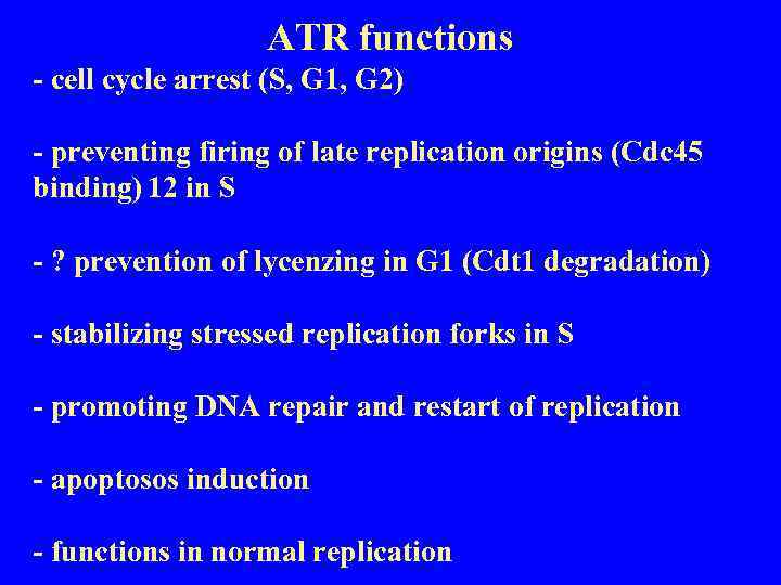 ATR functions - cell cycle arrest (S, G 1, G 2) - preventing firing