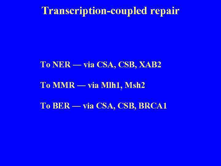 Transcription-coupled repair To NER — via CSA, CSB, XAB 2 To MMR — via