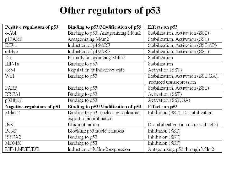 Other regulators of p 53 