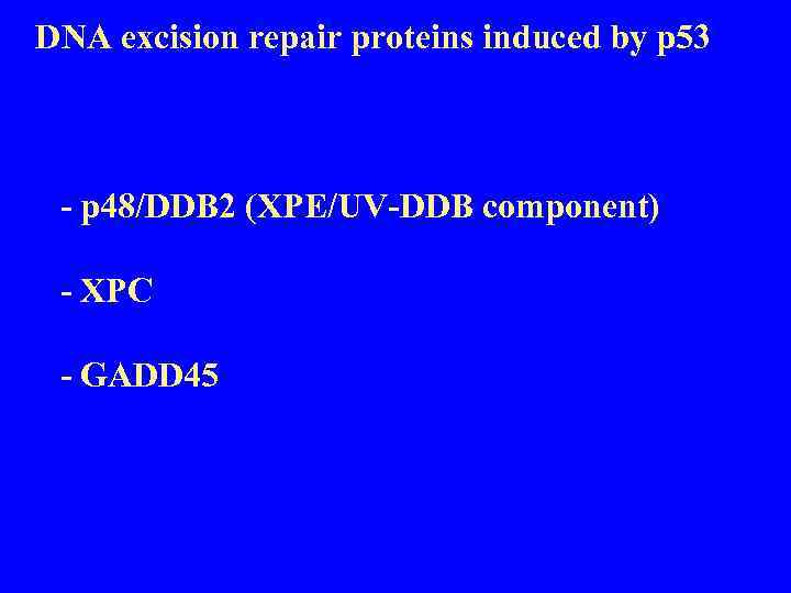 DNA excision repair proteins induced by p 53 - p 48/DDB 2 (XPE/UV-DDB component)