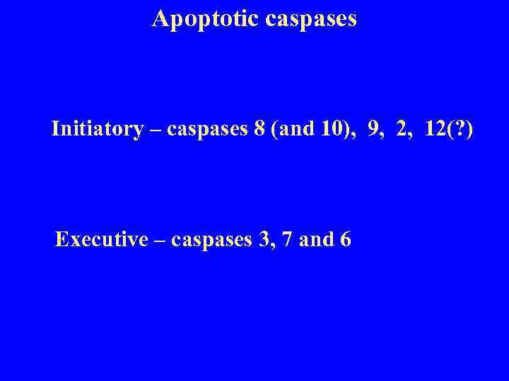 Apoptotic caspases Initiatory – caspases 8 (and 10), 9, 2, 12(? ) Executive –