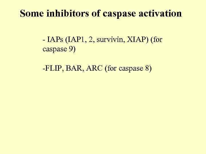 Some inhibitors of caspase activation - IAPs (IAP 1, 2, survivin, XIAP) (for caspase
