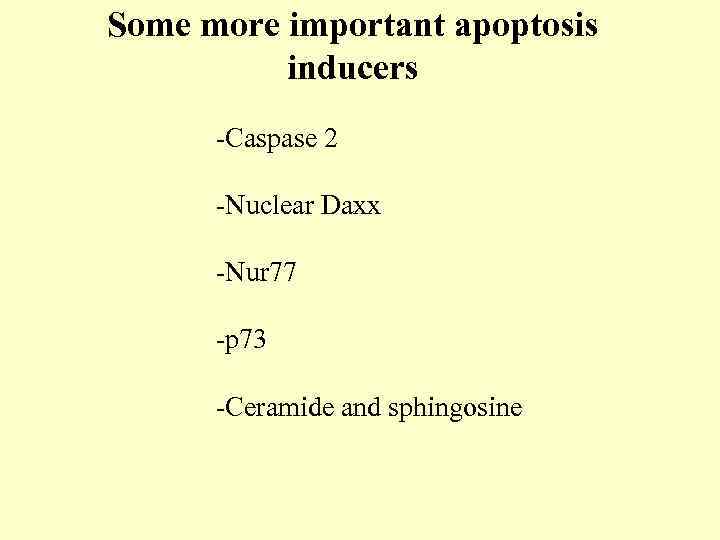 Some more important apoptosis inducers -Caspase 2 -Nuclear Daxx -Nur 77 -p 73 -Ceramide