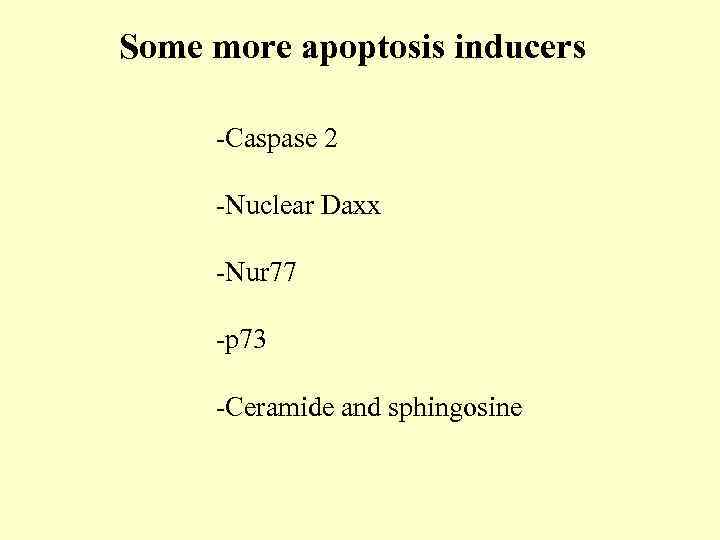 Some more apoptosis inducers -Caspase 2 -Nuclear Daxx -Nur 77 -p 73 -Ceramide and