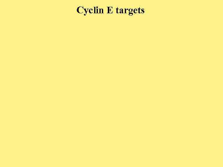 Cyclin E targets 