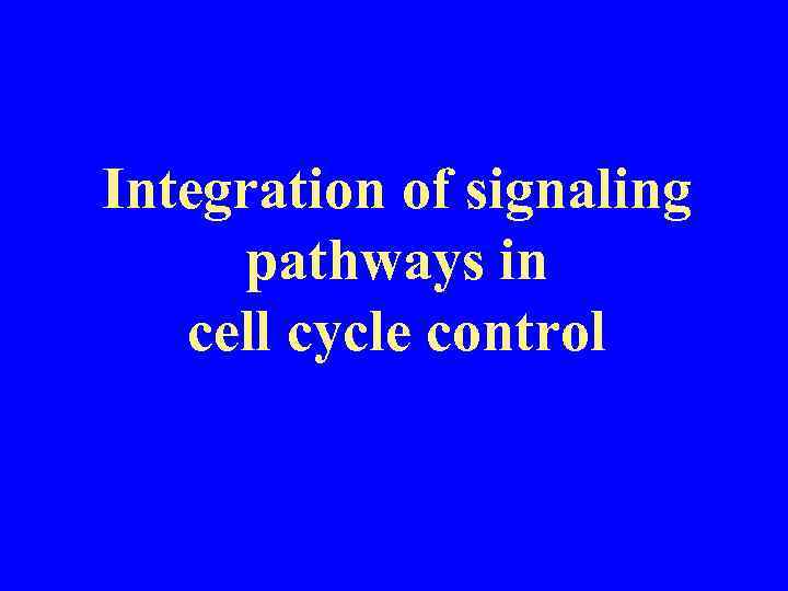 Integration of signaling pathways in cell cycle control 