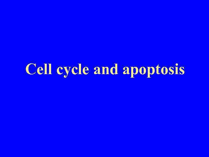 Cell cycle and apoptosis 