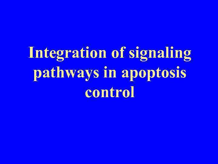 Integration of signaling pathways in apoptosis control 
