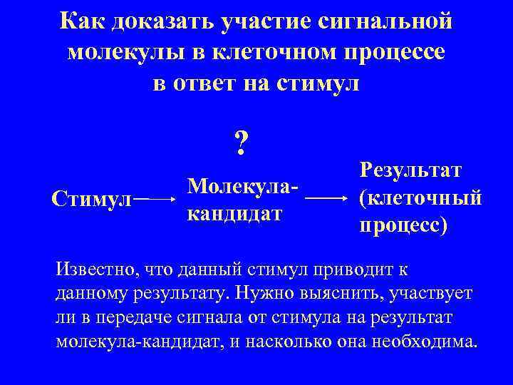 Как доказать участие сигнальной молекулы в клеточном процессе в ответ на стимул ? Стимул