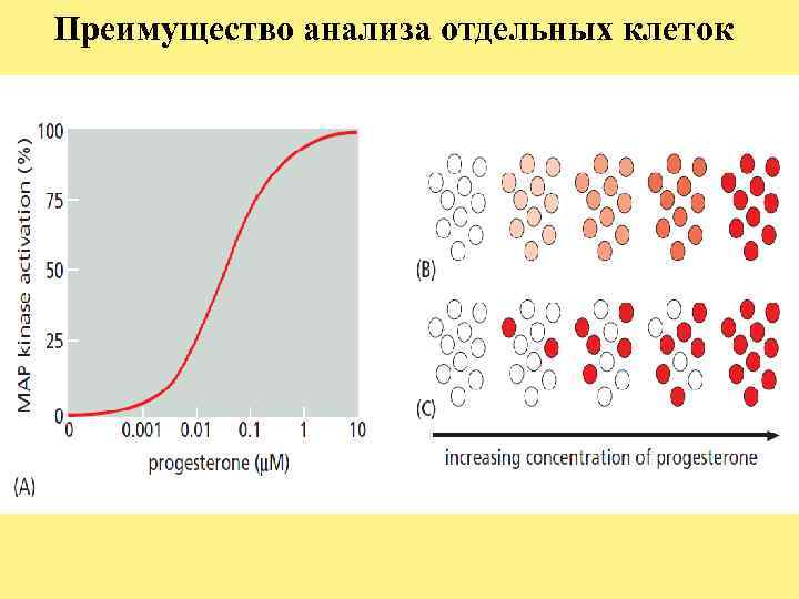 Преимущество анализа отдельных клеток 
