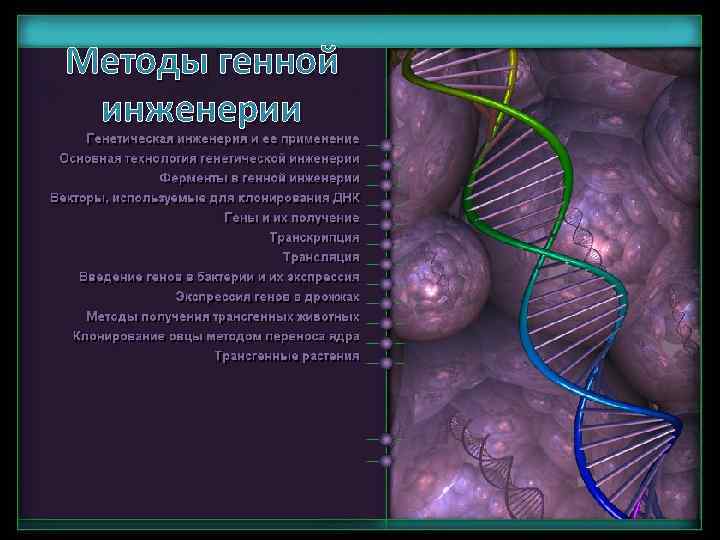 Методы генной инженерии 