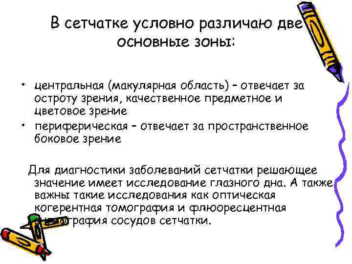 В сетчатке условно различаю две основные зоны: • центральная (макулярная область) – отвечает за