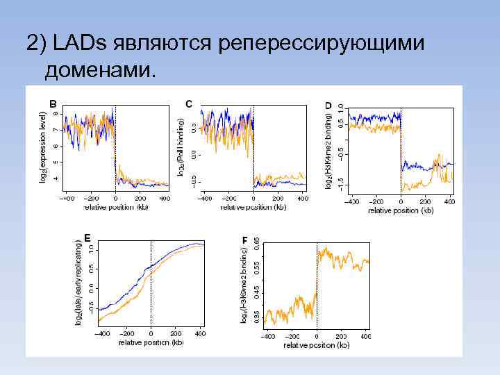 2) LADs являются реперессирующими доменами. 