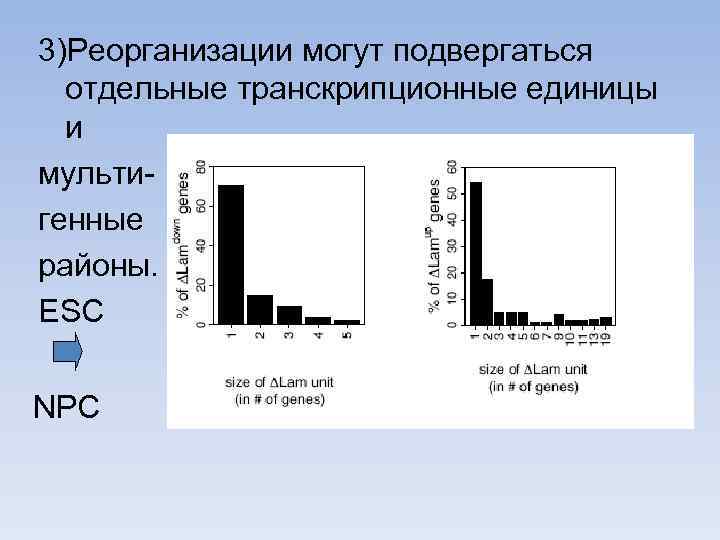 3)Реорганизации могут подвергаться отдельные транскрипционные единицы и мультигенные районы. ESC NPC 