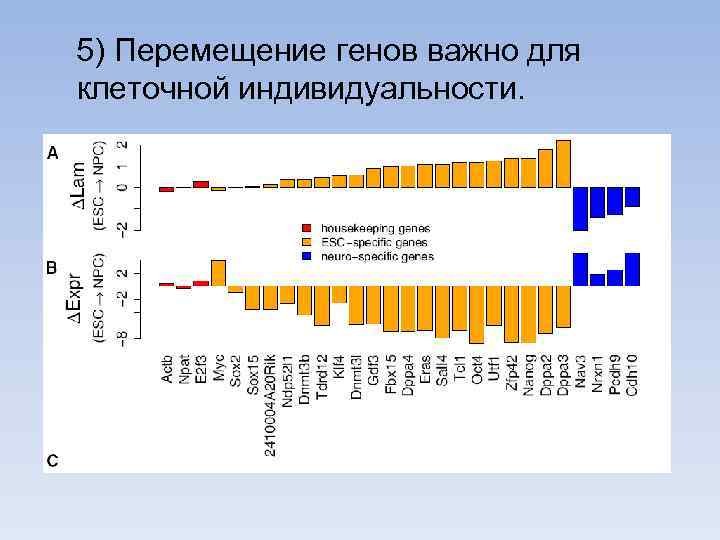 5) Перемещение генов важно для клеточной индивидуальности. 