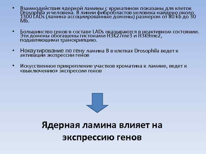  • Взаимодействия ядерной ламины с хроматином показаны для клеток Drosophila и человека. В