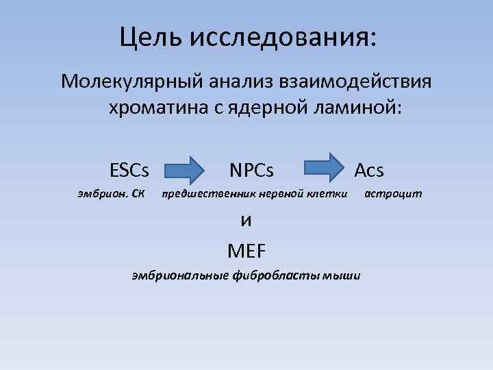 Цель исследования: Молекулярный анализ взаимодействия хроматина с ядерной ламиной: ESCs эмбрион. СК NPCs Acs