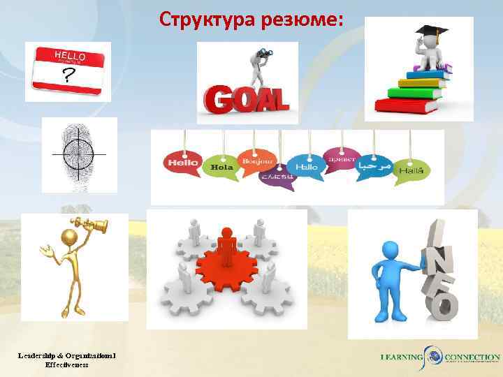 Структура резюме: Leadership & Organizational Effectiveness 