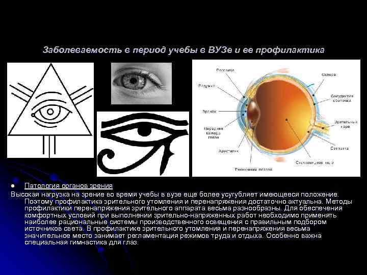 Заболеваемость в период учебы в ВУЗе и ее профилактика Патология органов зрения Высокая нагрузка