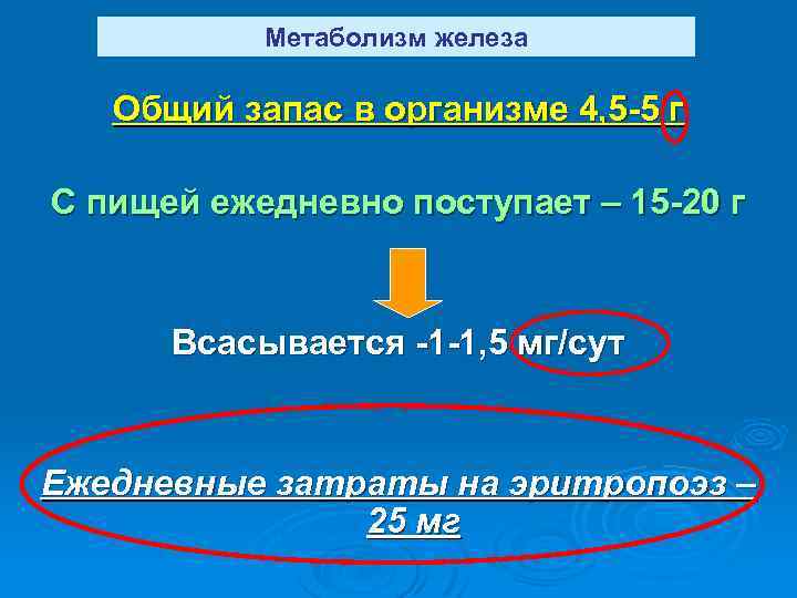 Метаболизм железа Общий запас в организме 4, 5 -5 г С пищей ежедневно поступает