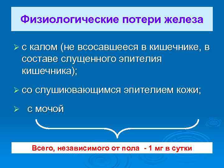 Физиологические потери железа Ø с калом (не всосавшееся в кишечнике, в составе слущенного эпителия
