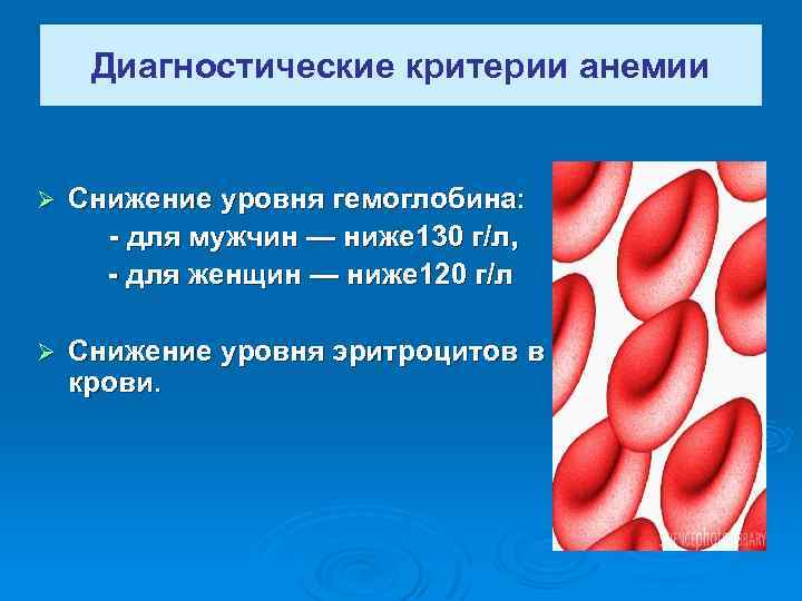 Диагностические критерии анемии Снижение уровня гемоглобина: - для мужчин — ниже 130 г/л, -