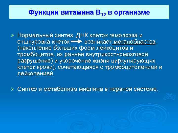 Функции витамина В 12 в организме Ø Нормальный синтез ДНК клеток гемопоэза и отшнуровка