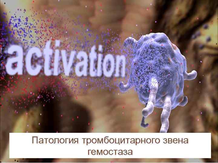 Патология тромбоцитарного звена гемостаза 