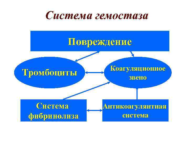 Система гемостаза Повреждение Тромбоциты Коагуляционное звено Система фибринолиза Антикоагулянтная система 
