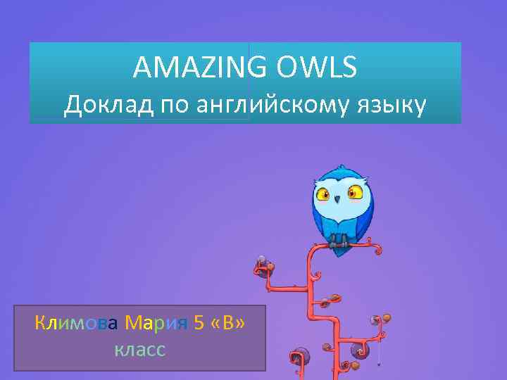 AMAZING OWLS Доклад по английскому языку Климова Мария 5 «В» класс 