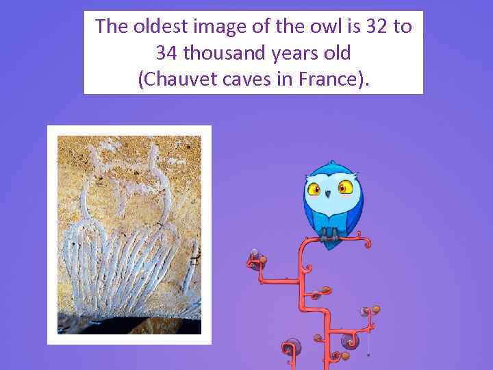 The oldest image of the owl is 32 to 34 thousand years old (Chauvet