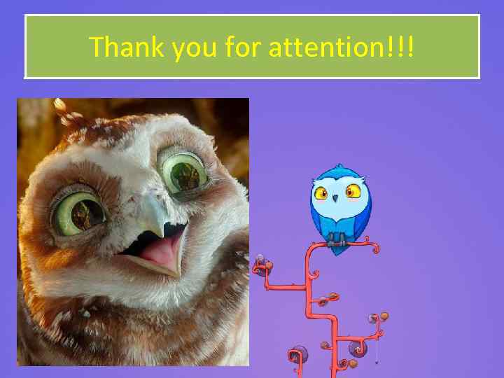 Thank you for attention!!! 