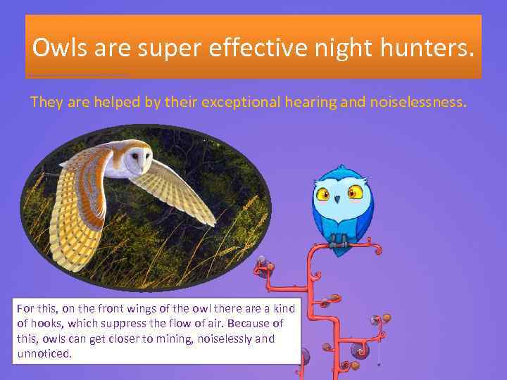 Owls are super effective night hunters. They are helped by their exceptional hearing and